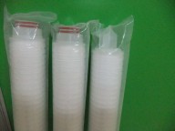 10-inch microporous membrane pleated filter